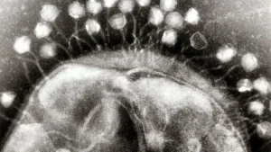 Science Snapshots: August 9, 2026: Treatment update