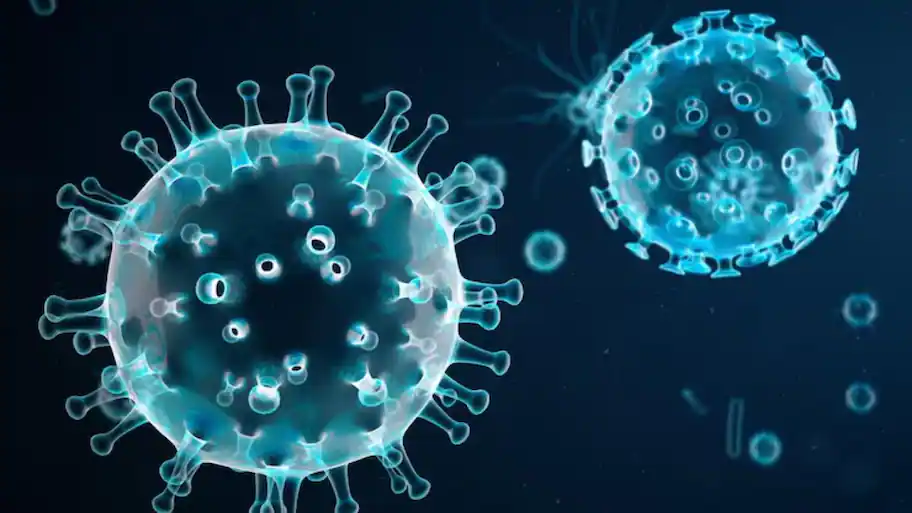Doctors issue advisory on masks, crowds, medication — H1N1 cases: The wider industry impact