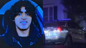 Crime and policing briefing: ChatGPT search, 'Kill family' fantasies: How Indian-origin teen killed mother