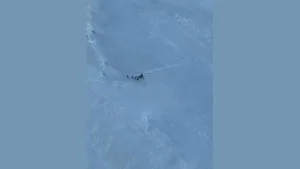 The Indian Army carried out a daring high-altitude rescue operation: The wider industry impact