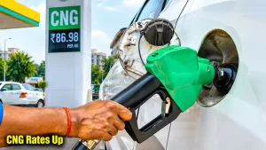 As a result, the rate of LNG in the global market has doubled: The wider industry impact