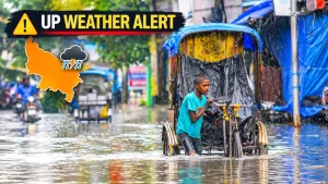 Orange warning issued for 17 districts as heavy rain and 60 km/h: The wider industry impact