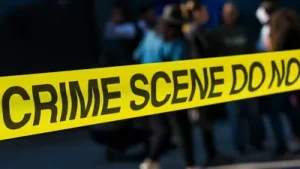 New York Times tech executive was brutally murdered in California by his elderly Chinese in-laws