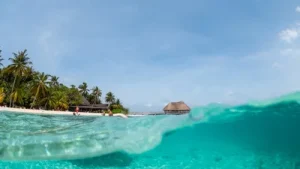 The Island Paradise That Is a Secret Hub for Russian Sanctions: The wider industry impact