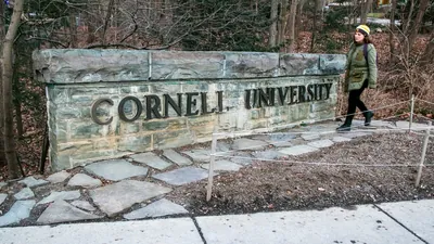 Why is Cornell University calling alleged gang rape victim 'irresponsible'? All on 'essays' claim