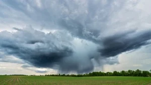 Tropical Depression Five formed over the Gulf of Mexico on Monday: The wider industry impact