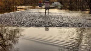 Flash flood warnings hit southern Utah, including Zion National: The wider industry impact