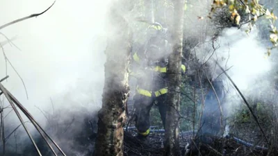 Who were David Siambanes and Dawn Stone? Tampa plane crash victims identified; what we know
