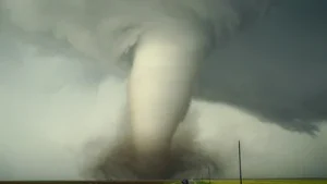 Scary visuals emerge amid confirmed twister in Artichoke, Minnesota: The wider industry impact