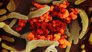 Anthropic reveals discovery of new enzyme system spotted by Claude: The wider industry impact