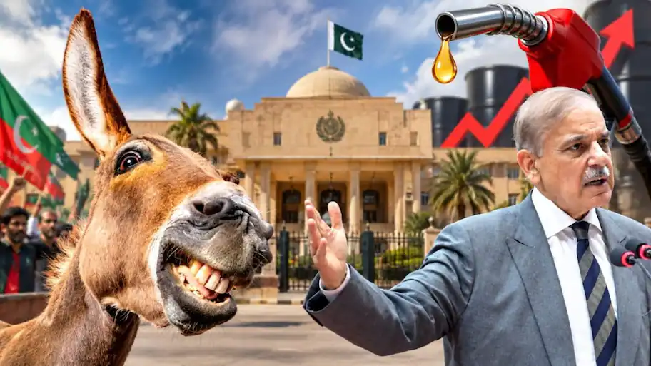 From luxury cars to donkey carts: The photo stumping Pakistan's government