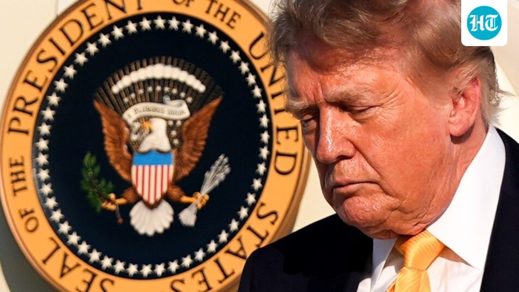 Did Trump cut down trees at the White House? Here's why dozens of trees are being removed across