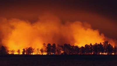 A vegetation fire known as the Airport Fire was reported in Thermal, California, on September 4