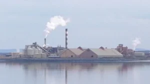 Ireland currently holds the rotating presidency of EU Council, where representatives