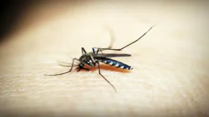7-year-old girl dead, 47 children hospitalised after anti-malaria: The wider industry impact