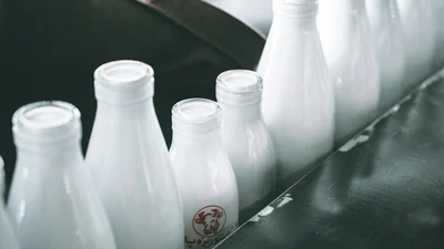 Alternatives to milk are losing moomentum: The wider industry impact