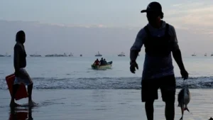cocaine trafficking, with a single drug run paying $20,000 to $40,000, compared