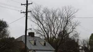 Sunday, NJ.com’s Power Outage Tracker, which keeps track of reports: The wider industry impact