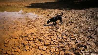This year's powerful El Nino weather pattern could lead to 451,000: The wider industry impact