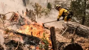 2 pilots killed as helicopter crashes during Dome fire response — Yosemite National Park tragedy