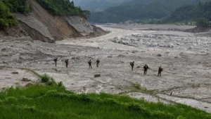 Chinese officials who addressed the media close to the disaster site: The wider industry impact