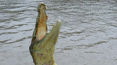 Steven Hamilton, loved fishing so much that he visited a pond in Florida almost every night