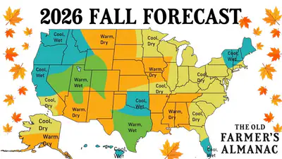 The Old Farmer's Almanac has shared its long-range weather outlook: The wider industry impact