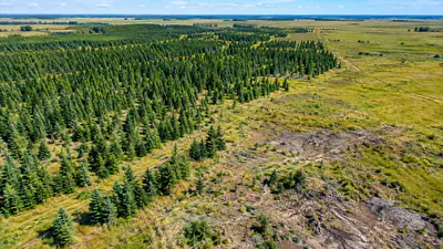 Various fescue prairies in the park in Manitoba were transformed: The wider industry impact