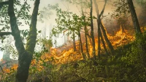 Azusa Peak Fire: Map, evacuation updates as wildfire burns in Los Angeles County Update 5:01pm