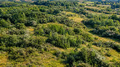 In the late 1980s, an English farm was left to rewild; 35 years: The wider industry impact