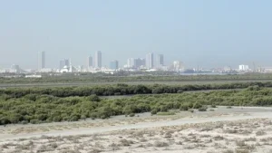All beaches and coastal areas in Umm Al Quwain will remain closed: The wider industry impact