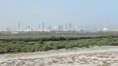All beaches and coastal areas in Umm Al Quwain will remain closed: The wider industry impact