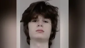 19-year-old US man arrested for plotting mass shooting at Hindu temple in Illinois; holds white