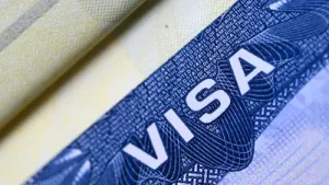 A complete breakdown of H-1B measures, green-card changes and what remains unaffected — Trump