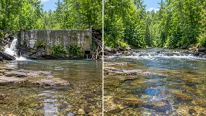 Fish and Wildlife Service , the complete removal of the Washburn: The wider industry impact