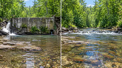 Fish and Wildlife Service , the complete removal of the Washburn: The wider industry impact