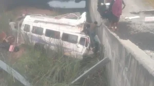 Eight pilgrims killed, over six critical as bus overturns on Delhi-Mumbai: the facts and wider