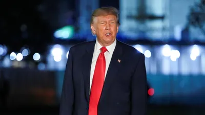 “You see!” It was during the early months of the pandemic, and Donald Trump was vexed
