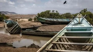 Of the 109 bodies recovered so far, 52 were men, 42 were women and 15 were children, including