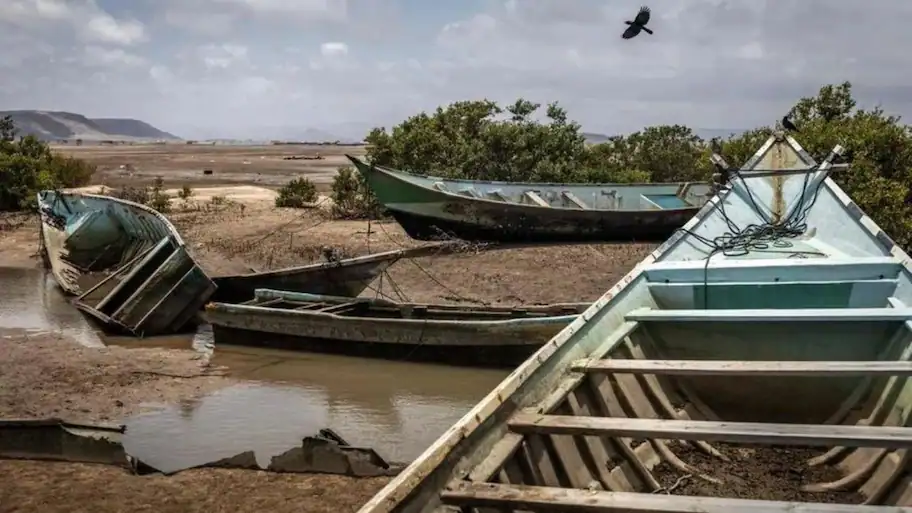 Of the 109 bodies recovered so far, 52 were men, 42 were women and 15 were children, including